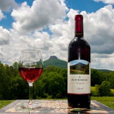 Pinnacle Pilot Mountain Vineyards & Winery NC Menu Tour Food Drink Deals North Carolina