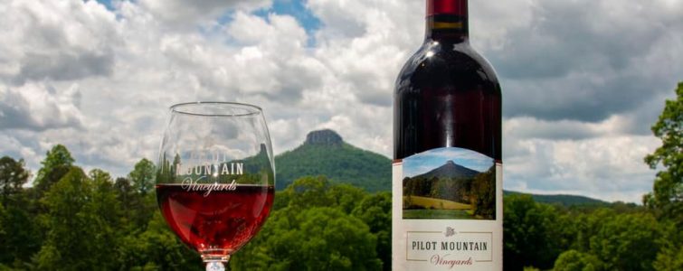 Pinnacle Pilot Mountain Vineyards & Winery NC Menu Tour Food Drink Deals North Carolina