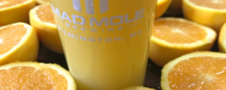 Wilmington Mad Mole Brewing Brewery NC Biz Scene North Carolina Local Businesses Deals News