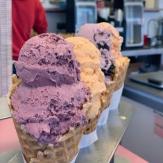 Monroe Bruster’s Real Ice Cream Sweets NC Menu Tour Food Drink Deals North Carolina News